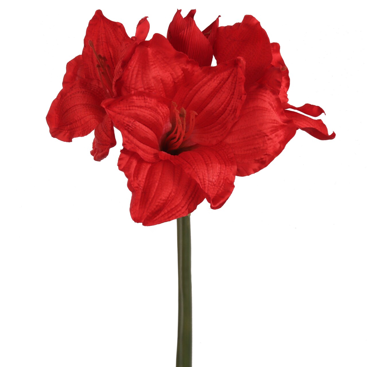 28" Red Amaryllis Stem - Set of 12, Lifelike Silk Flowers, Elegant Holiday Décor, Perfect for Christmas, Events & Home Displays, Floral Home by Artificial Flowers